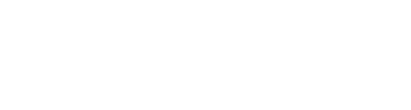 handduo logo upscaled white